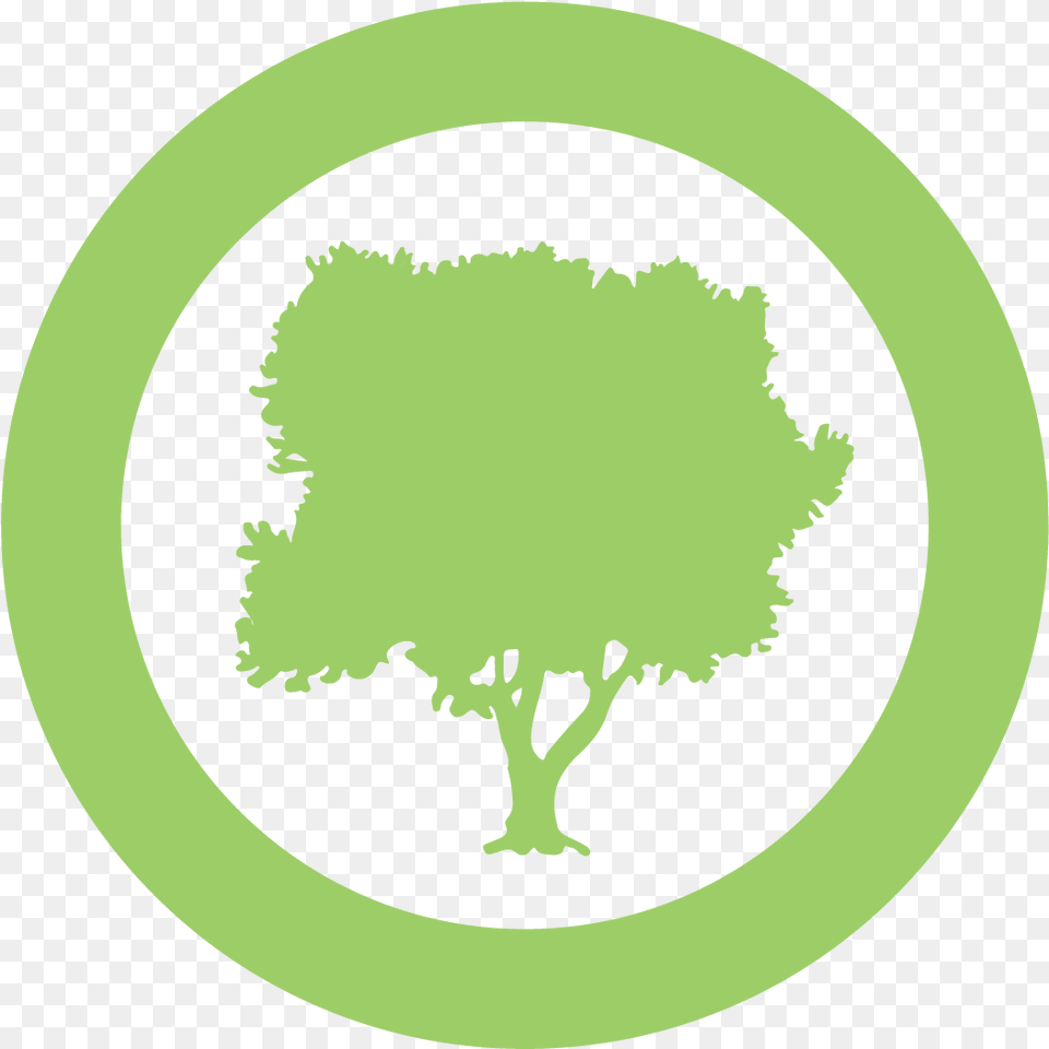 Language, Green, Plant, Tree, Vegetation Free Png Download