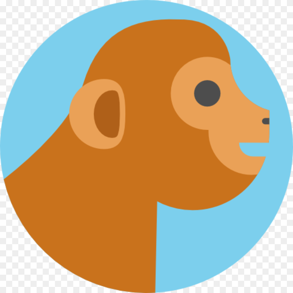 Langur Monkeys In Co Existence With Humans Circle Animals Vector, Water Sports, Sport, Swimming, Leisure Activities Free Transparent Png