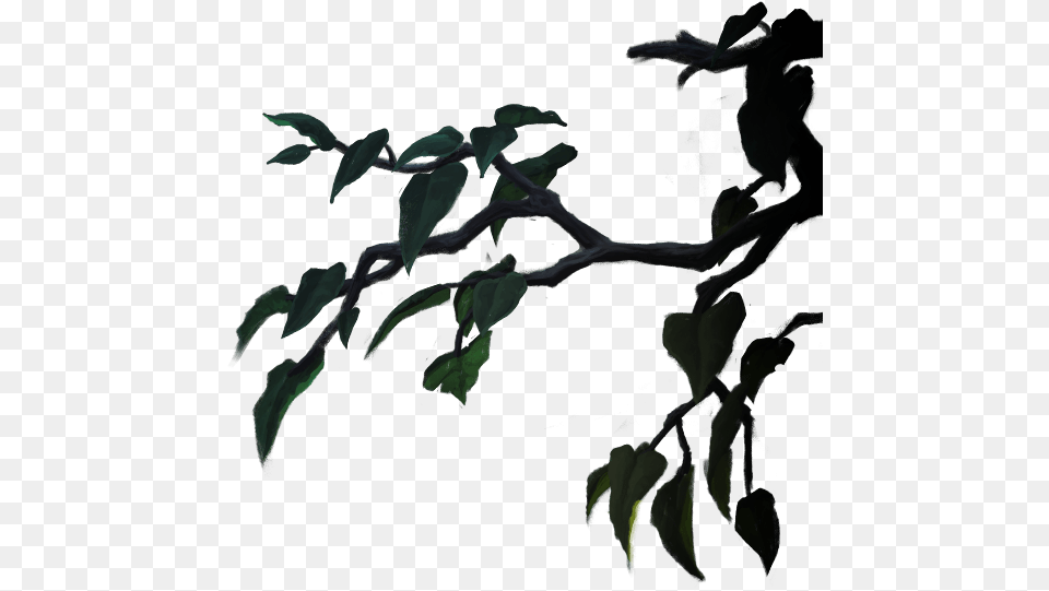 Laning Phase And The Mid Game Tree, Leaf, Plant, Acanthaceae, Flower Free Transparent Png