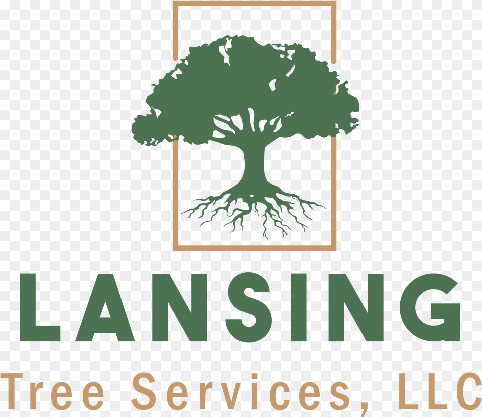 Lansing Tree Services Tree, Plant, Vegetation, Potted Plant, Face Free Png Download