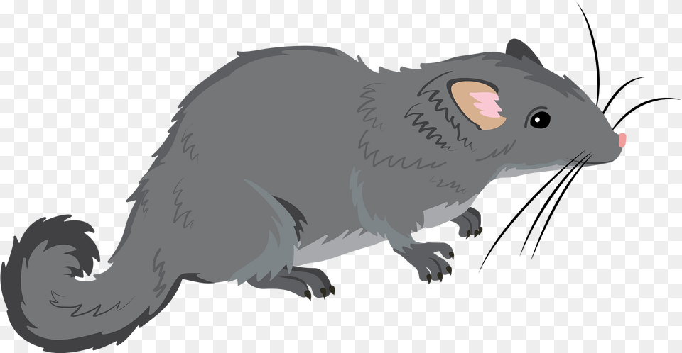 Laotian Rock Rat Clipart, Animal, Mammal, Rodent, Fish Png