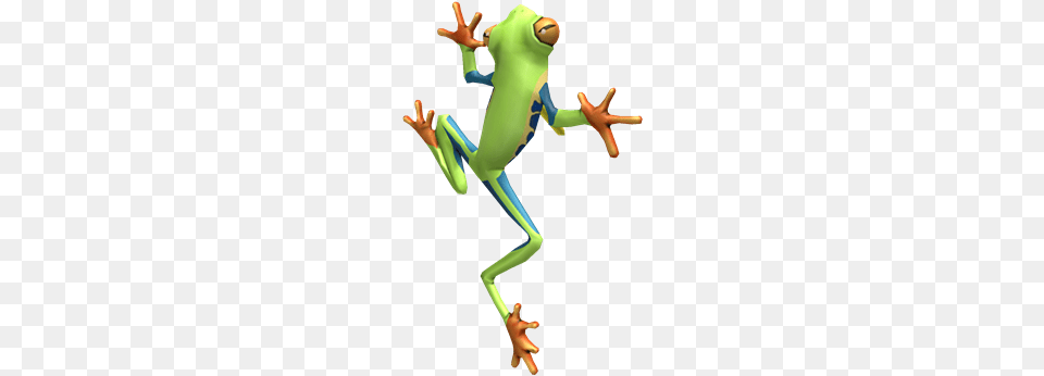 Lapel Frog Roblox, Amphibian, Animal, Wildlife, Tree Frog Free Transparent Png