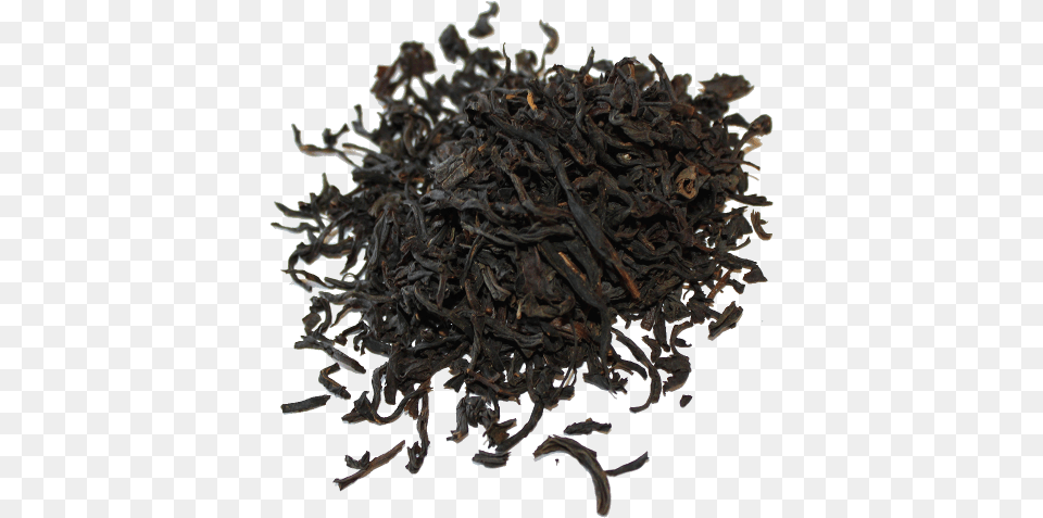 Lapsang Souchong Tea, Plant, Tobacco Png