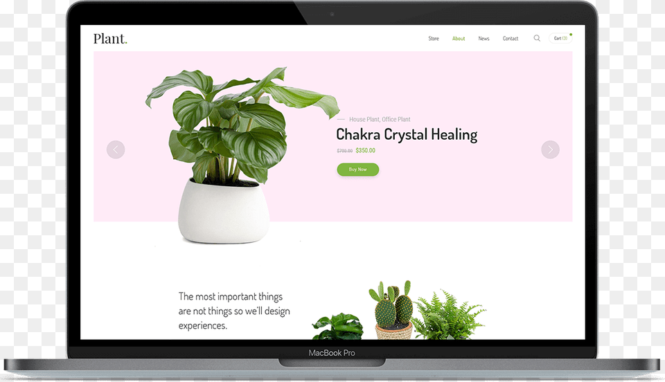 Laptop Acceptance Testing, Potted Plant, Plant, Herbs, Leaf Free Png