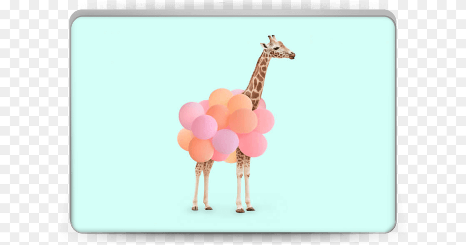 Laptop Paul Fuentes Party Giraffe, Balloon, Animal, Mammal, Wildlife Free Png Download