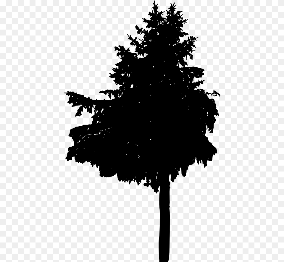 Larch, Fir, Plant, Silhouette, Tree Free Png Download