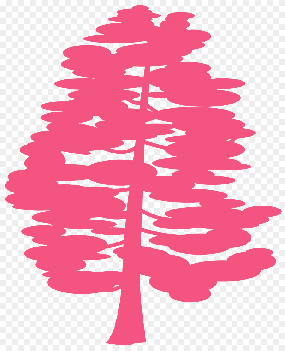 Larch Silhouette, Leaf, Plant, Stencil, Flower Png