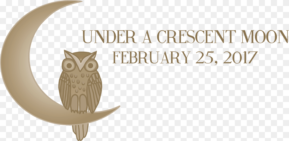 Large Banner, Animal, Bird, Owl Png