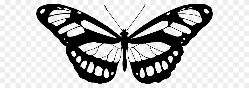 Large Black Butterfly Outline, Animal, Insect, Invertebrate Free Transparent Png