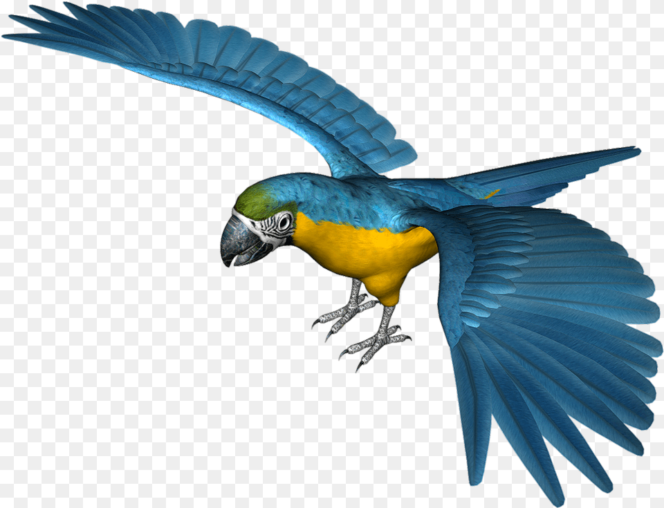 Large Blue Parrot Clipart Parrot Clipart Blue, Animal, Bird, Macaw Png Image
