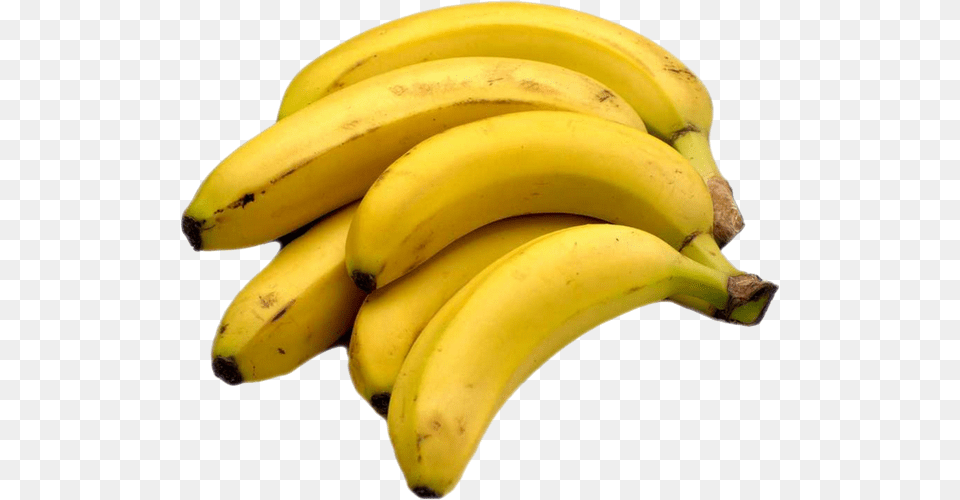 Large Bunch Of Bananas, Banana, Food, Fruit, Plant Free Png