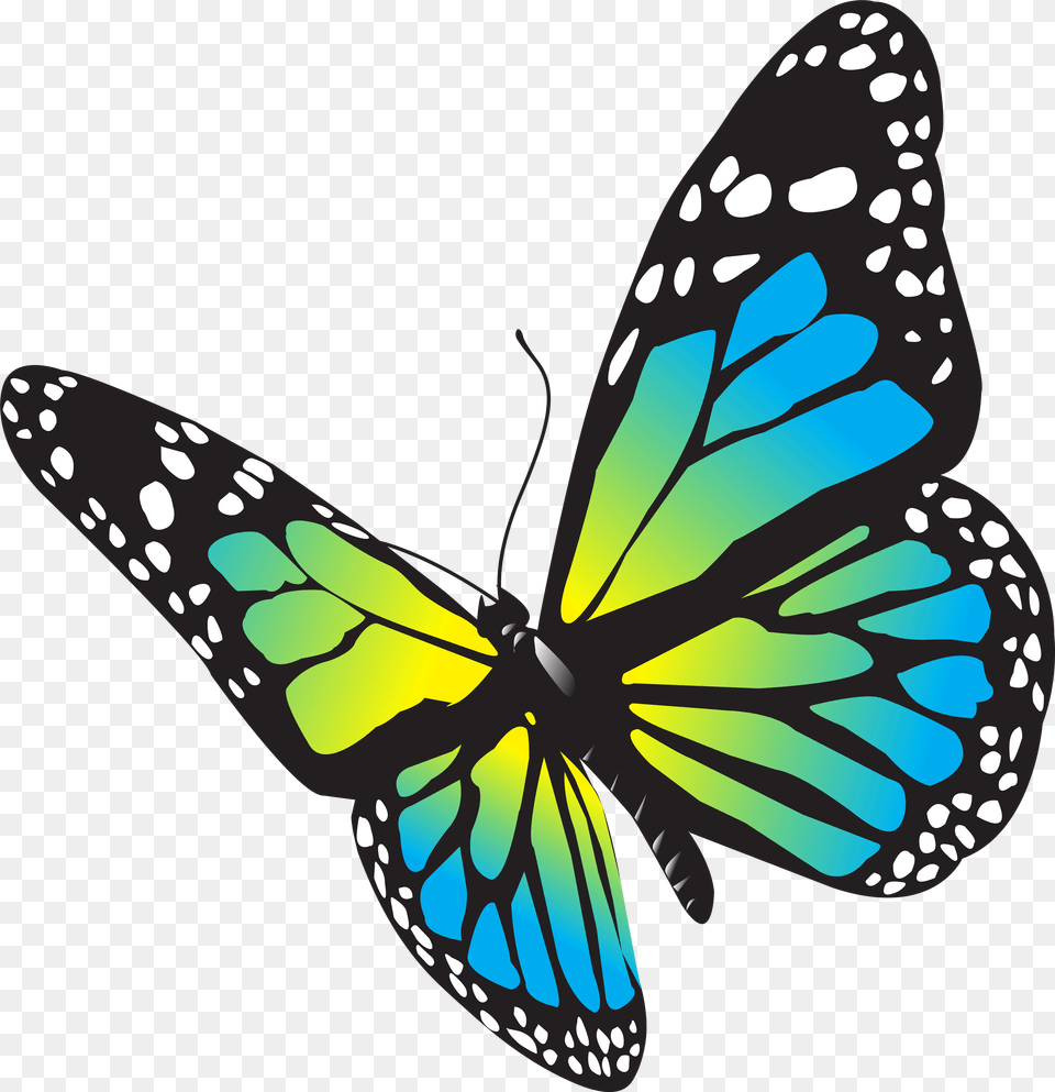 Large Butterfly Clipart, Animal, Insect, Invertebrate, Reptile Png Image