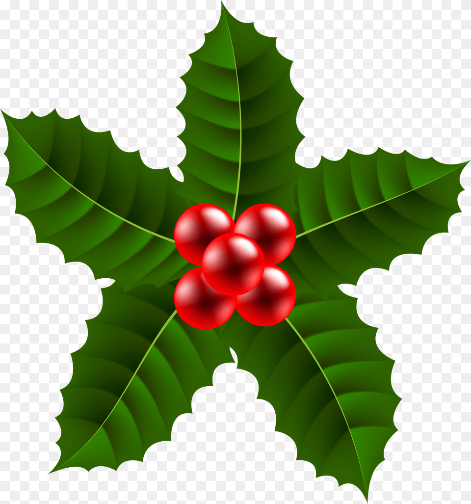 Large Christmas Holly Png