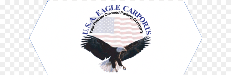 Large Commercial Carport Company Blog, Animal, Bird, Eagle, Bald Eagle Free Png Download