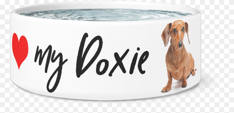 Large Dog Bowl Love My Doxie Designer Dog Bowls Dachshund, Animal, Canine, Mammal, Pet Free Png