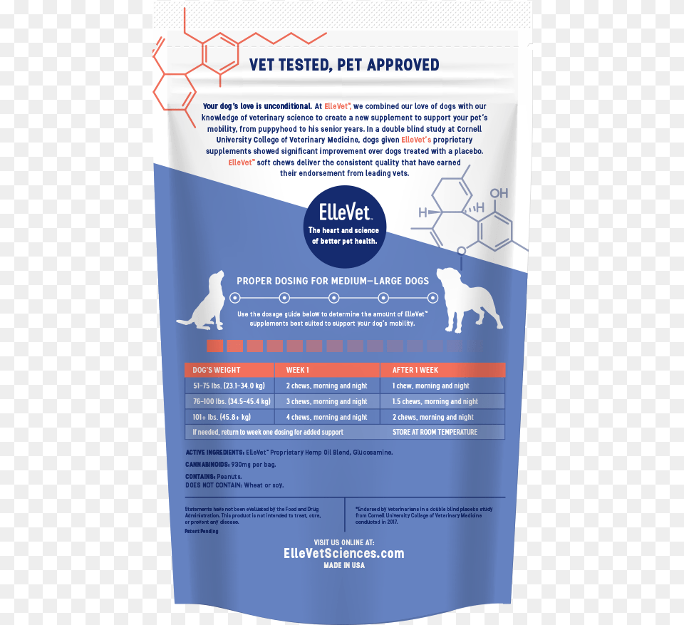 Large Dogs Mockup African Grey, Advertisement, Poster, Animal, Canine Free Png