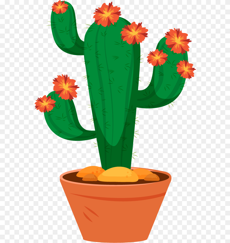 Large Flowered Cactus, Plant Free Png