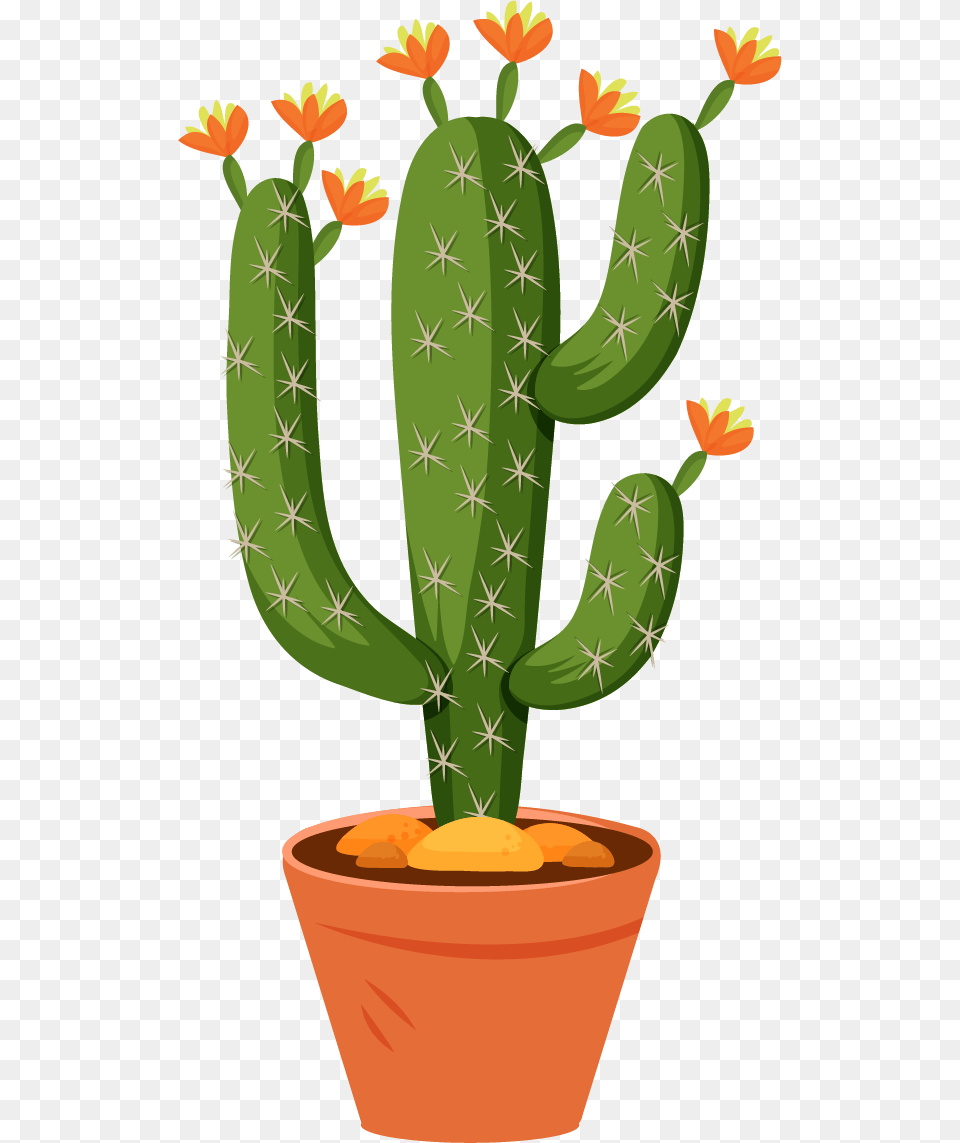 Large Flowered Cactus, Plant, Smoke Pipe Free Png