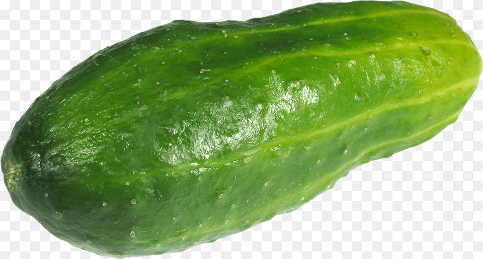Large Green Cucumber, Food, Plant, Produce, Vegetable Free Png