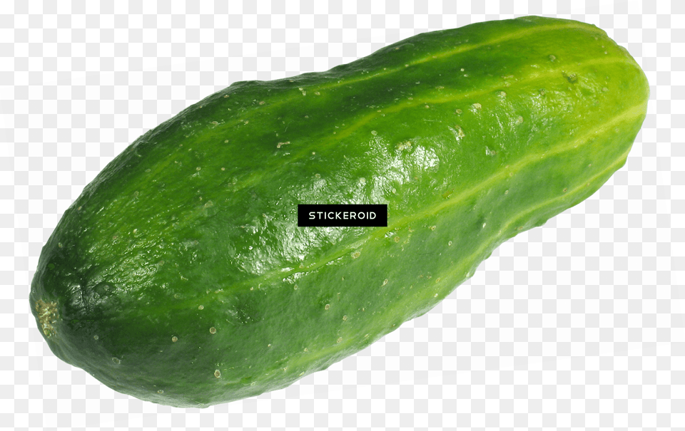 Large Green Cucumber Gourd, Food, Plant, Produce, Vegetable Free Png