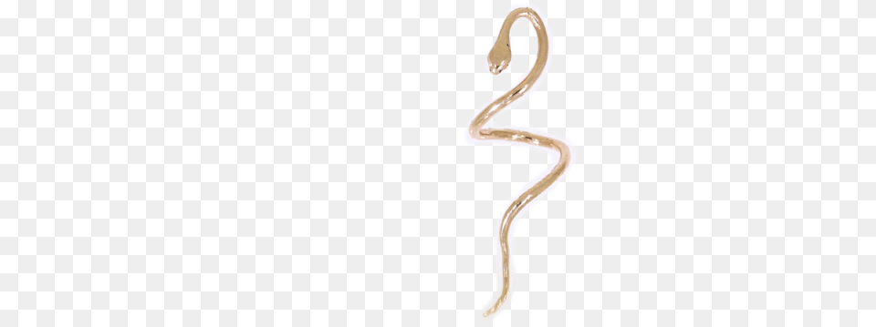 Large Helix Snake Helixsnake, Animal, Invertebrate, Worm Free Png