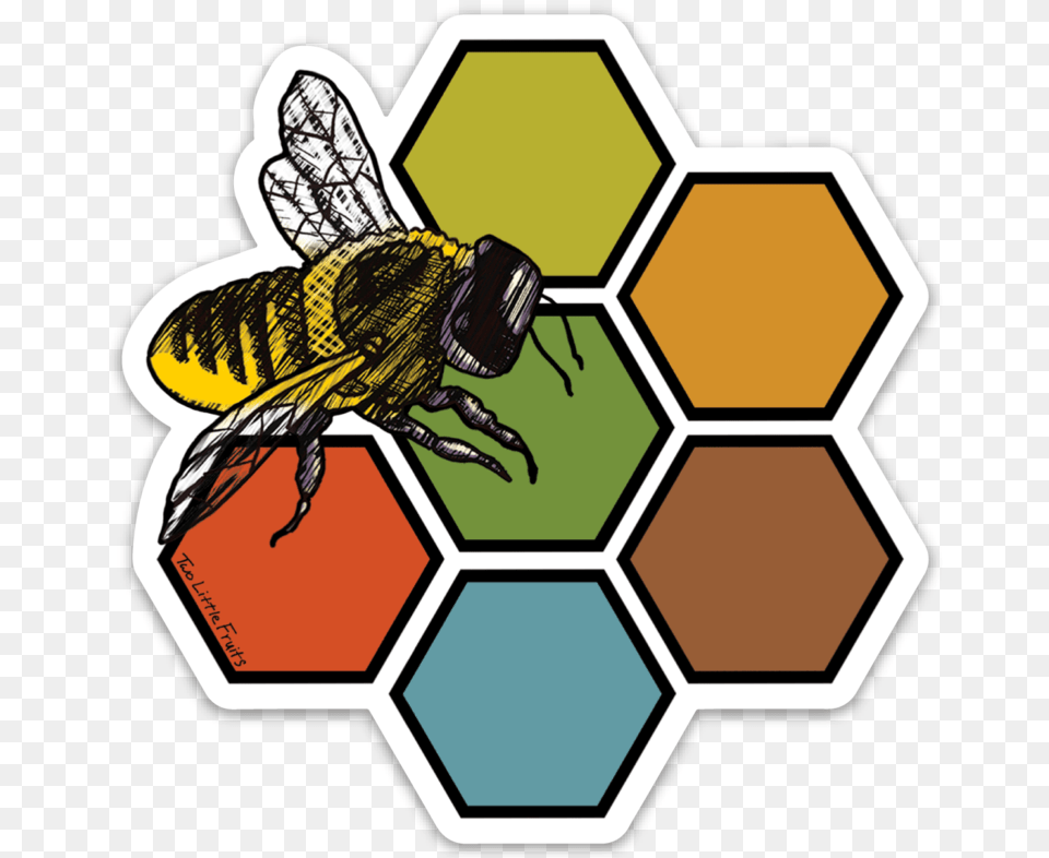 Large Honey Bee And Honeycomb Decal Two Little Fruits, Animal, Invertebrate, Insect, Honey Bee Free Png Download