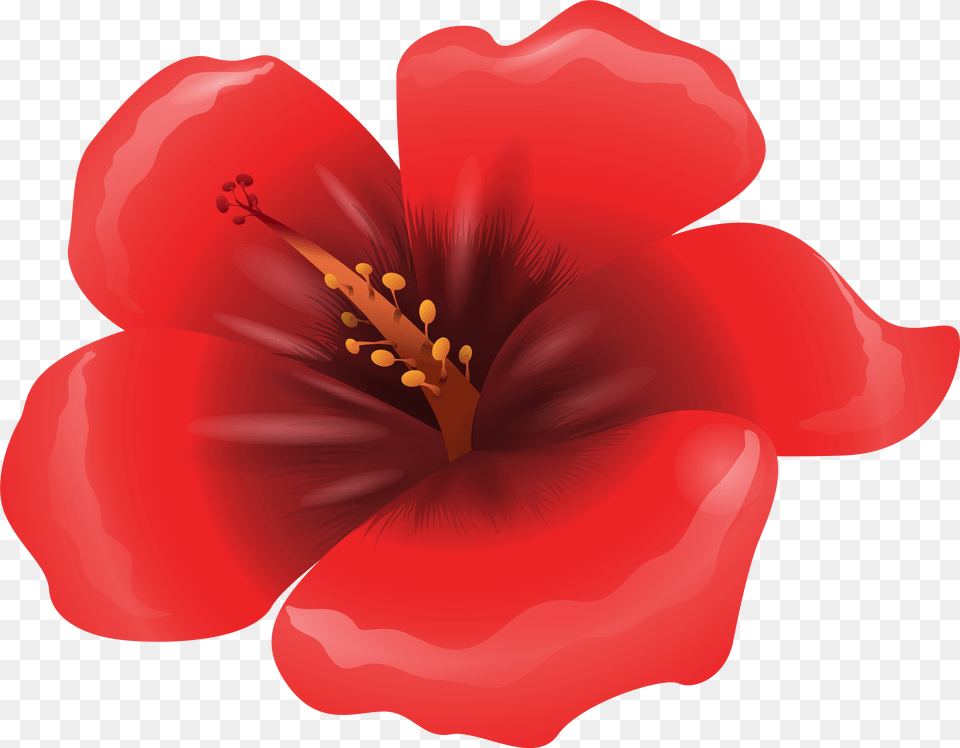 Large Image Gallery, Flower, Petal, Plant, Anther Png