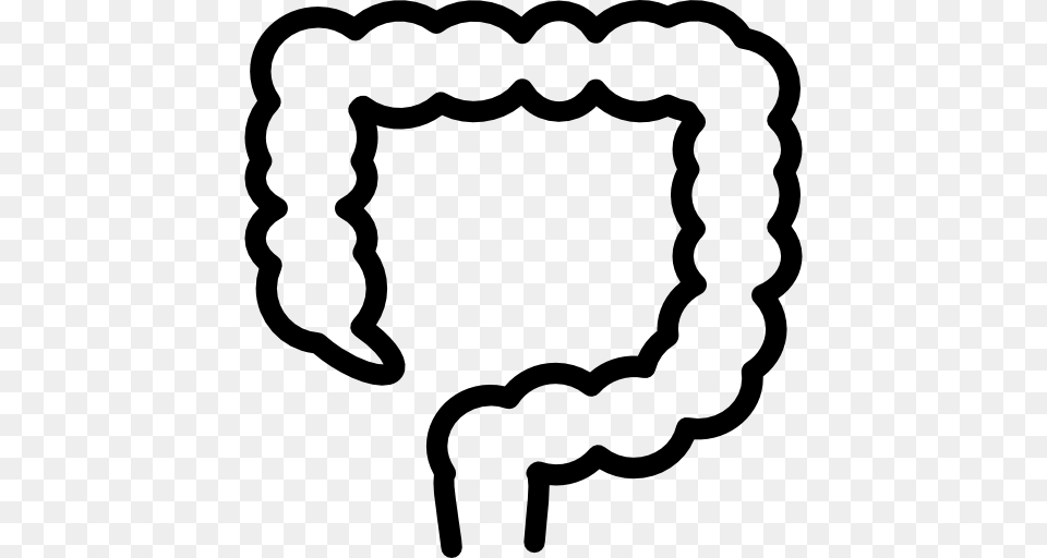 Large Intestine Intestine Organ Medical Intestine Outline, Gray Free Transparent Png