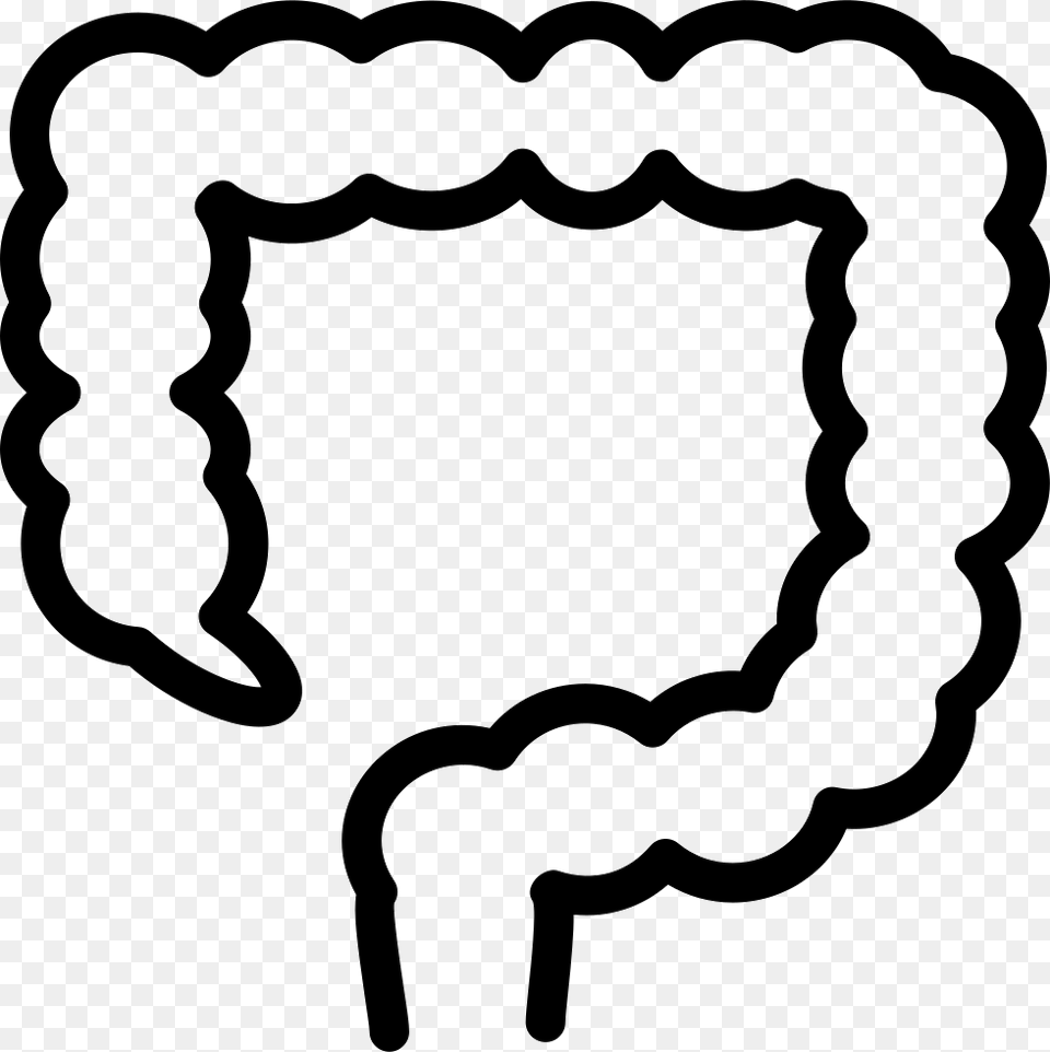 Large Intestine Outline Cetuximab Resistance In Colon Cancer, Stencil, Smoke Pipe Free Png Download