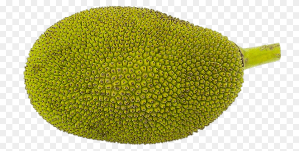 Large Jackfruit, Food, Fruit, Plant, Produce Png