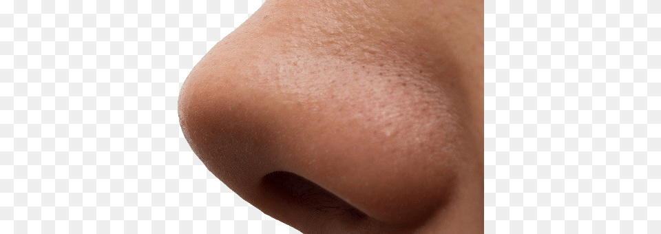 Large Man Nose, Person, Skin Png Image