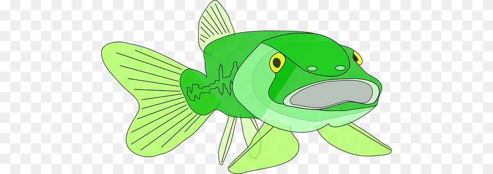 Large Mouth Bass Green, Animal, Fish, Sea Life Png