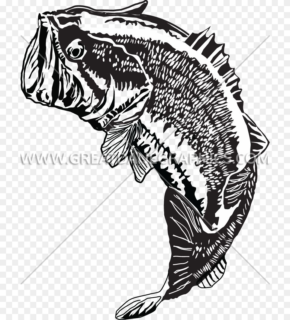 Large Mouth Bass Jumping, Animal, Dinosaur, Reptile, Sea Life Free Png Download