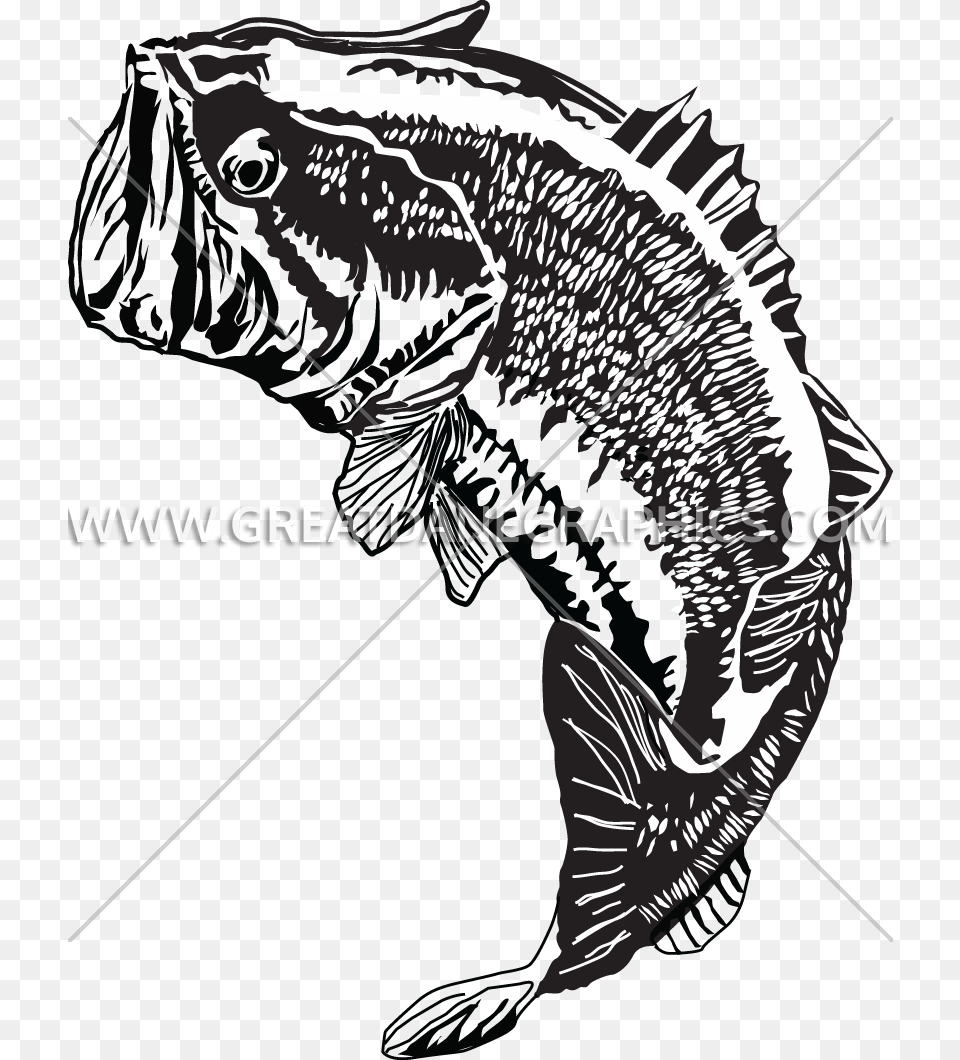 Large Mouth Bass Jumping Largemouth Bass, Animal, Dinosaur, Reptile, Sea Life Free Png