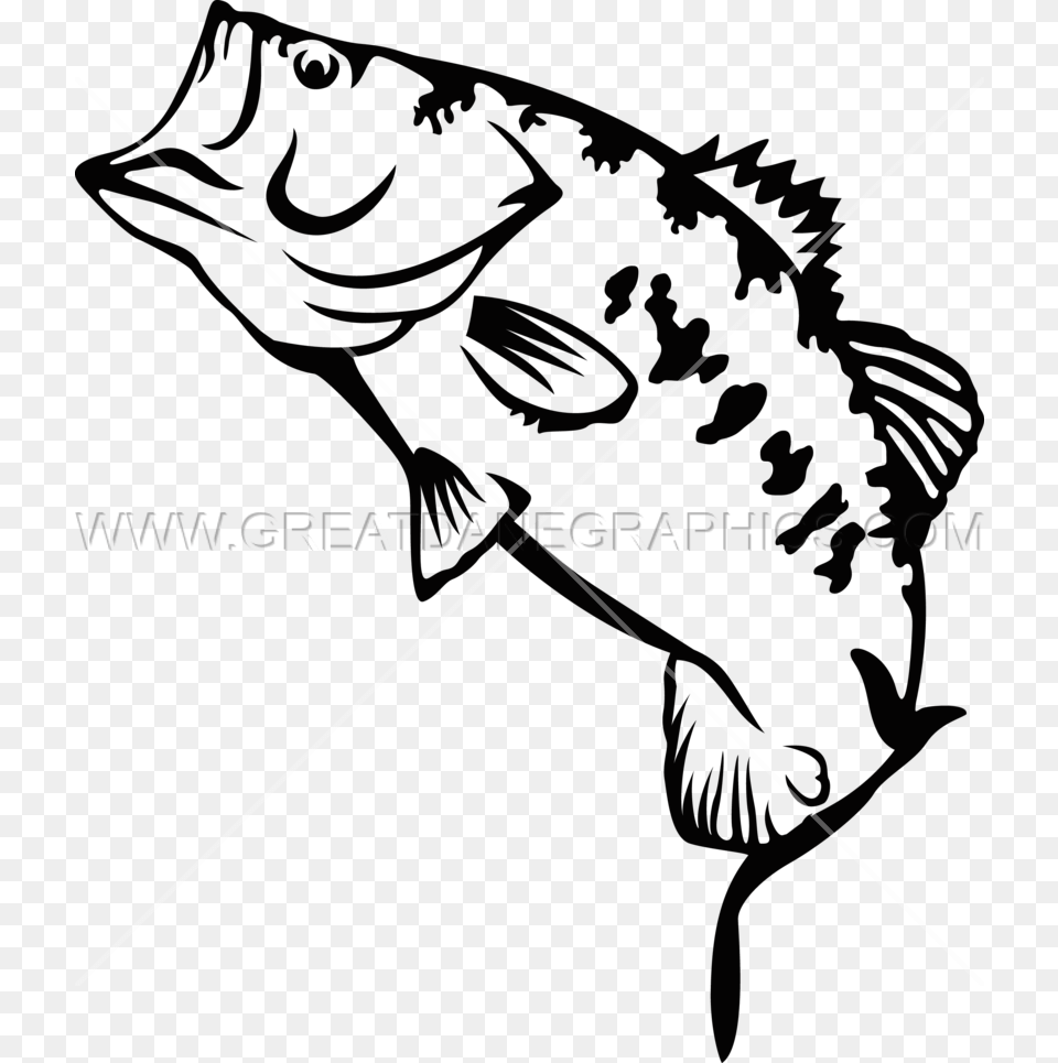 Large Mouth Bass Largemouth Bass Bass Clipart Black And White, Animal, Sea Life, Fish, Bow Png