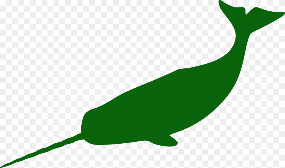 Large Narwhal Silhouette, Animal, Mammal, Sea Life, Whale Png Image