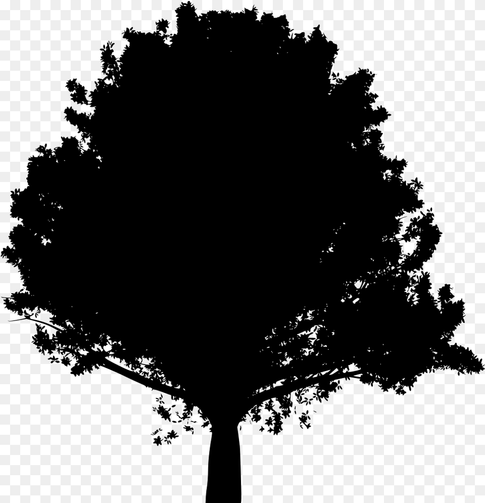 Large Oak Tree Silhouette, Gray Png