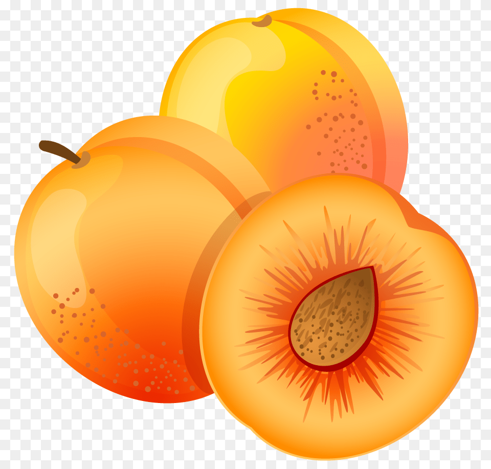 Large Painted Apricot Clipart Clip, Food, Fruit, Plant, Produce Free Png Download