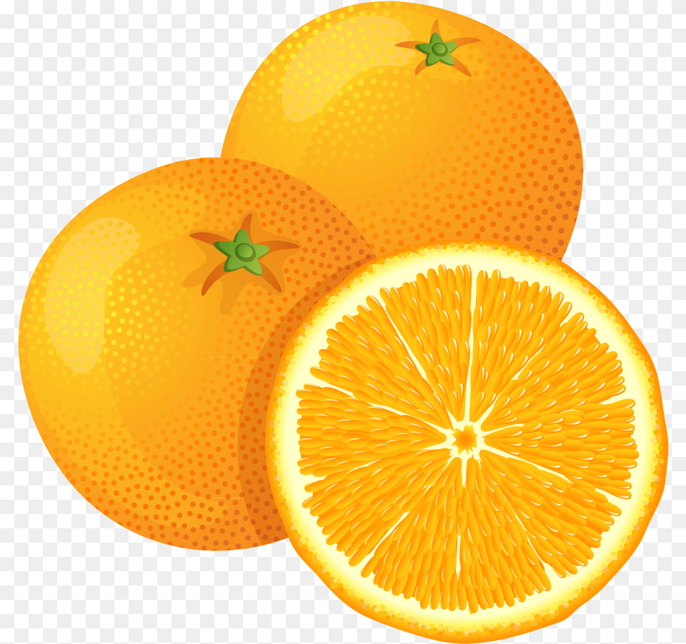 Large Painted Orange Clipart Clip Art Library Background Oranges, Citrus Fruit, Food, Fruit, Grapefruit Free Png Download
