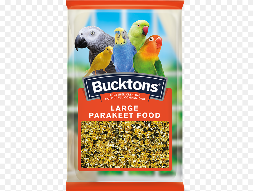 Large Parakeet Bucktons Small Parakeet, Animal, Bird, Parrot Free Png Download