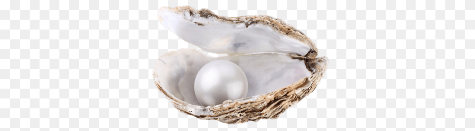 Large Pearl In Oyster, Accessories, Jewelry, Egg, Food Png