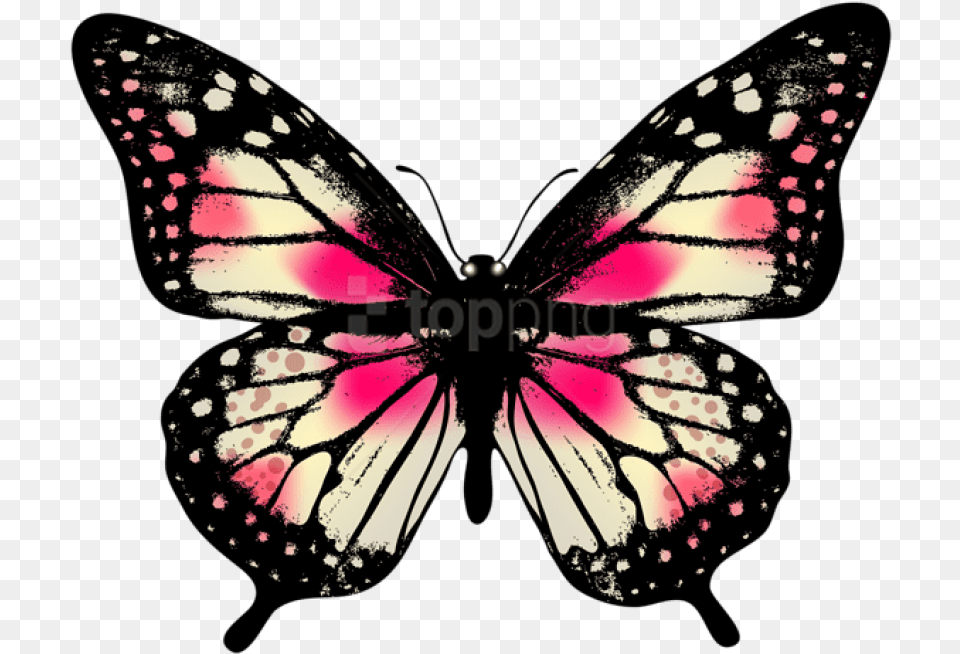 Large Pink Butterfly Clip Art Pink Butterfly, Animal, Insect, Invertebrate, Person Png Image