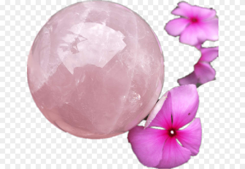Large Pink Crystal Sphere Natural Specimen Rose Quartz Impatiens, Plant, Flower, Petal, Geranium Png