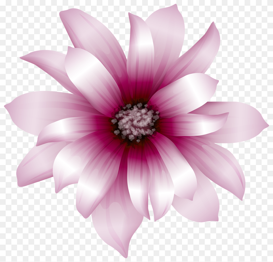 Large Pink Flower Transparent Clip Art Gallery Free Png Download