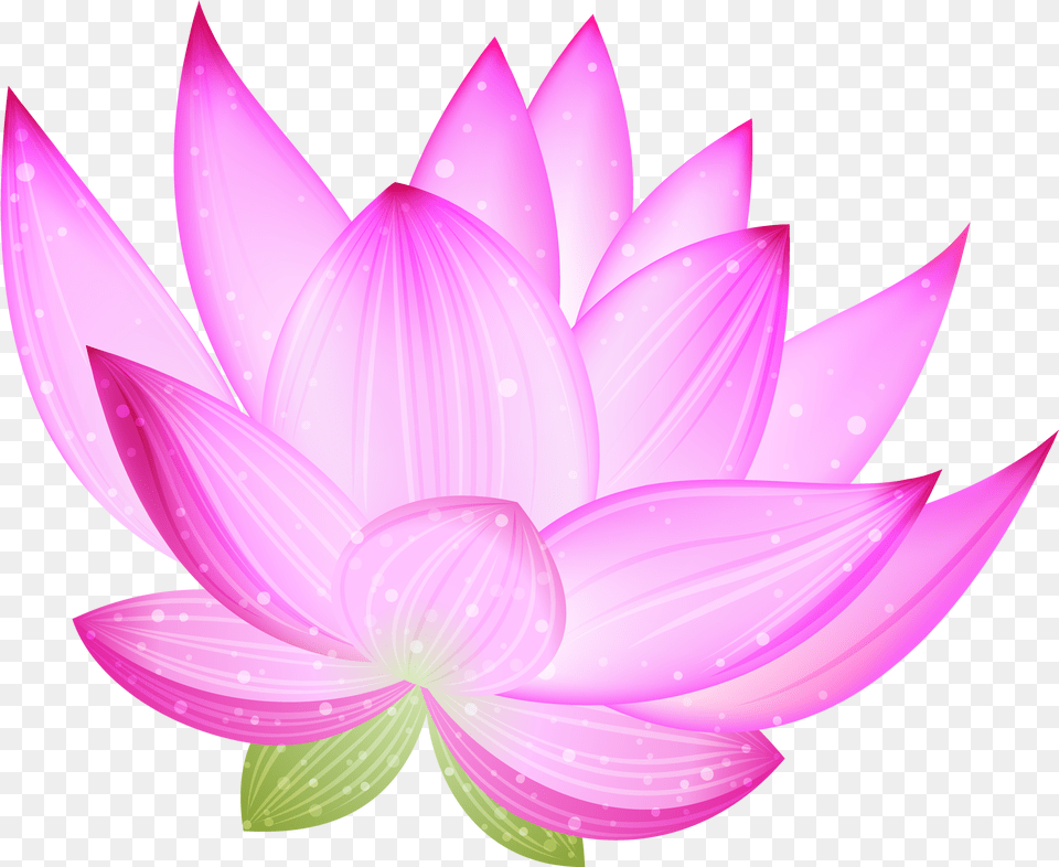 Large Pink Lotus Clipart Blog, Dahlia, Flower, Plant, Petal Png