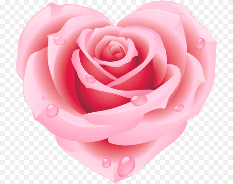 Large Pink Rose Heart Clipart Pink Rose Clip Art, Flower, Plant, Petal Png Image
