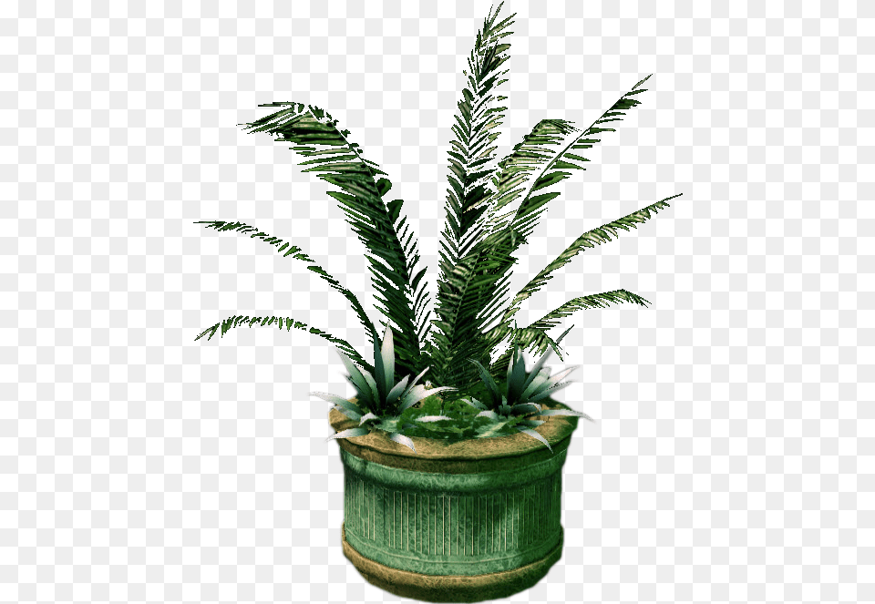 Large Planter Houseplant, Jar, Plant, Potted Plant, Pottery Free Png