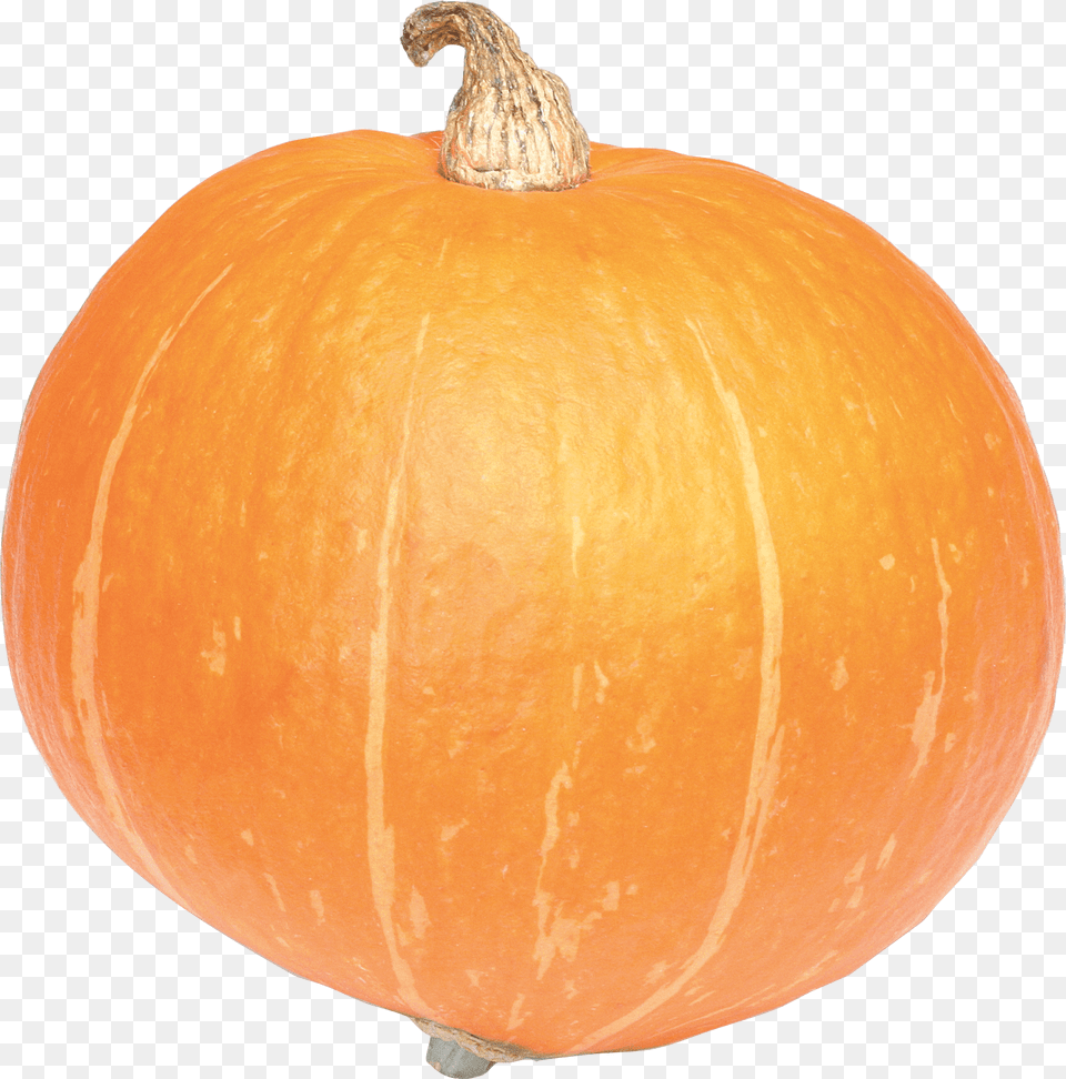 Large Pumpkin, Vegetable, Food, Produce, Plant Png