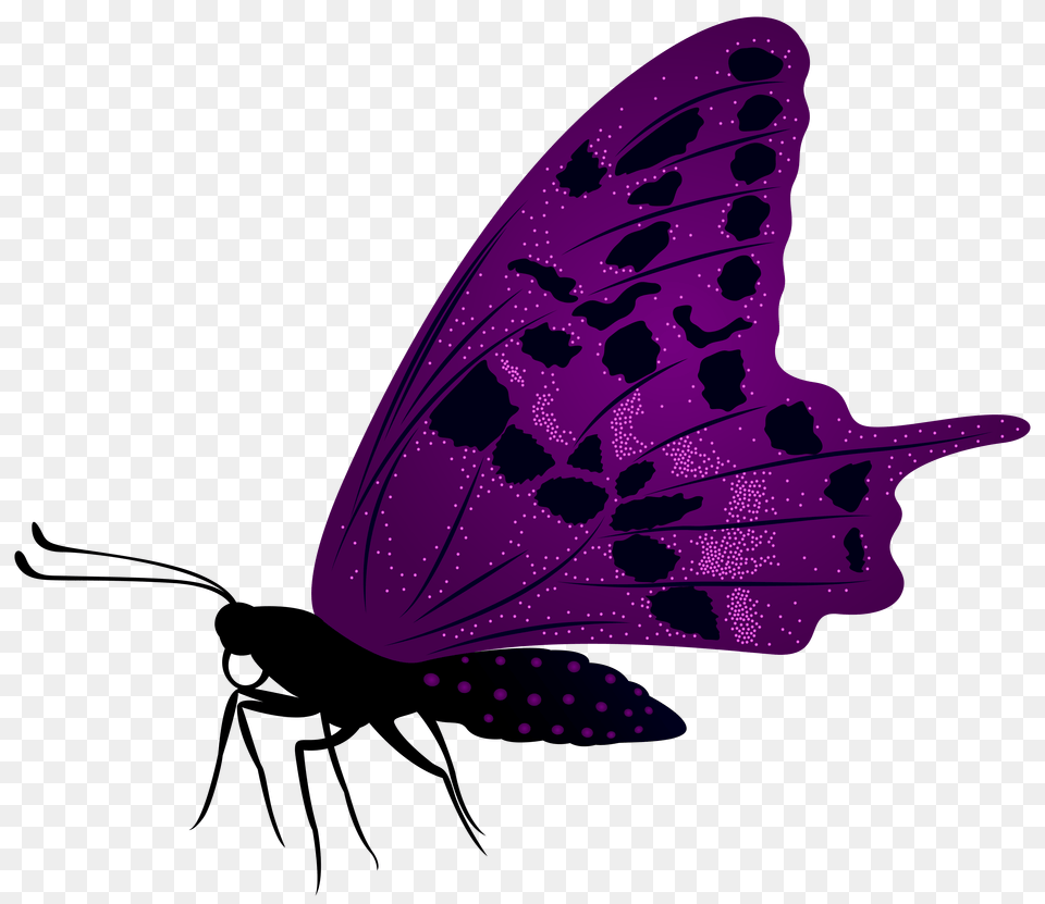 Large Purple Butterfly Clip Art, Animal, Invertebrate, Insect, Bee Png Image