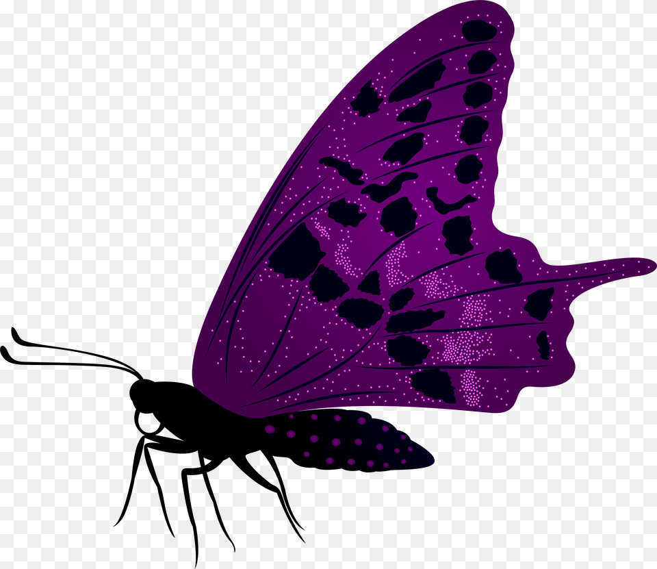 Large Purple Butterfly Clip Art Animal, Insect, Invertebrate Png Image